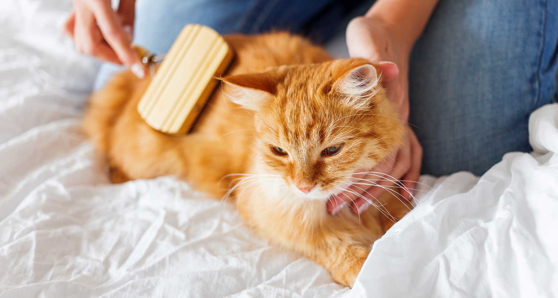 Washing and Grooming