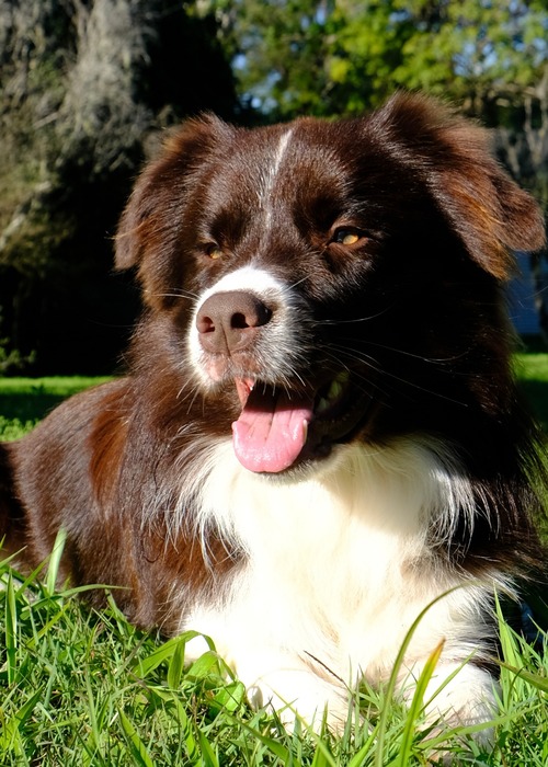 Bella